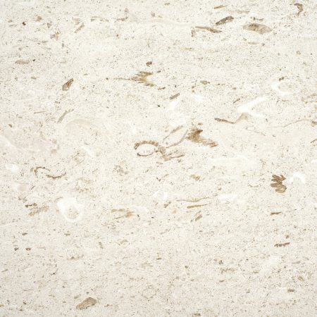 ivyspace perla 1 