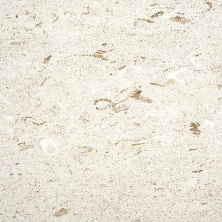 ivyspace perla 1